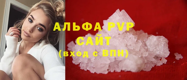 стаф Апатиты
