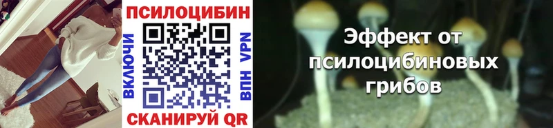 Псилоцибиновые грибы Psilocybe Мышкин