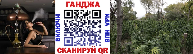 Шишки марихуана сатива  Мышкин 